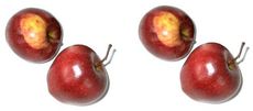 Äpfel-2+2.jpg